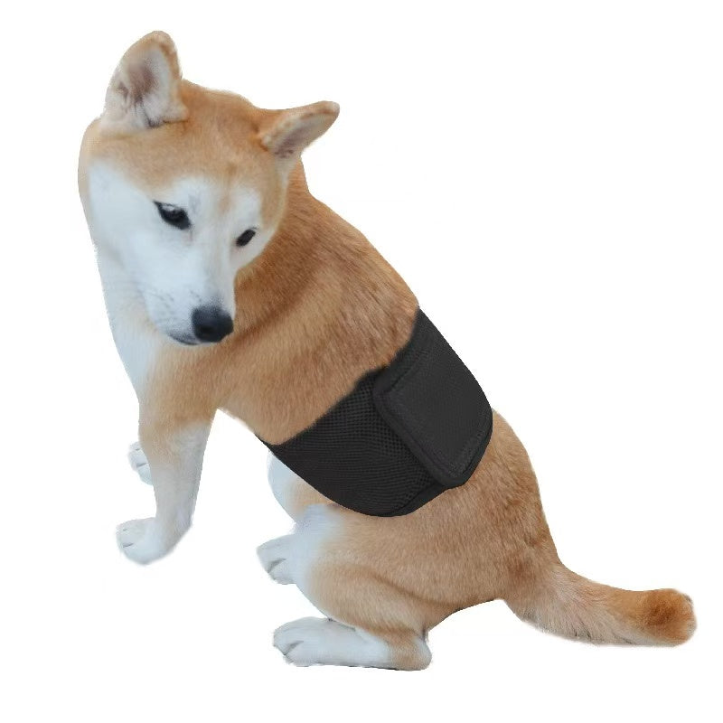 Pet Sanitary Pants – Striped Design (Unisex for Male / Female Dogs)