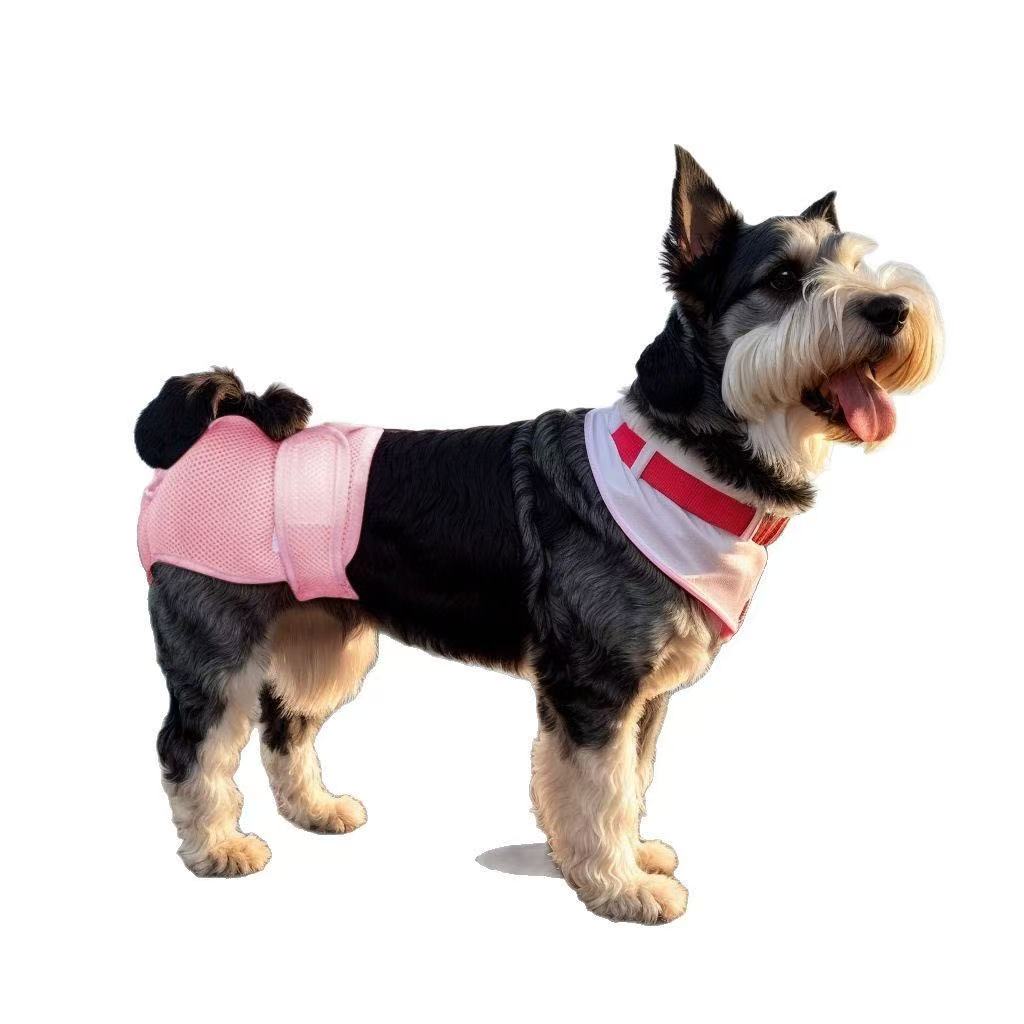 Pet Sanitary Pants – Striped Design (Unisex for Male / Female Dogs)