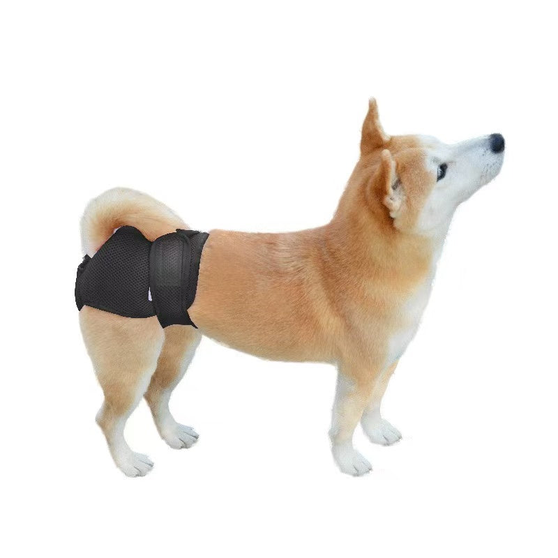 Pet Sanitary Pants – Striped Design (Unisex for Male / Female Dogs)