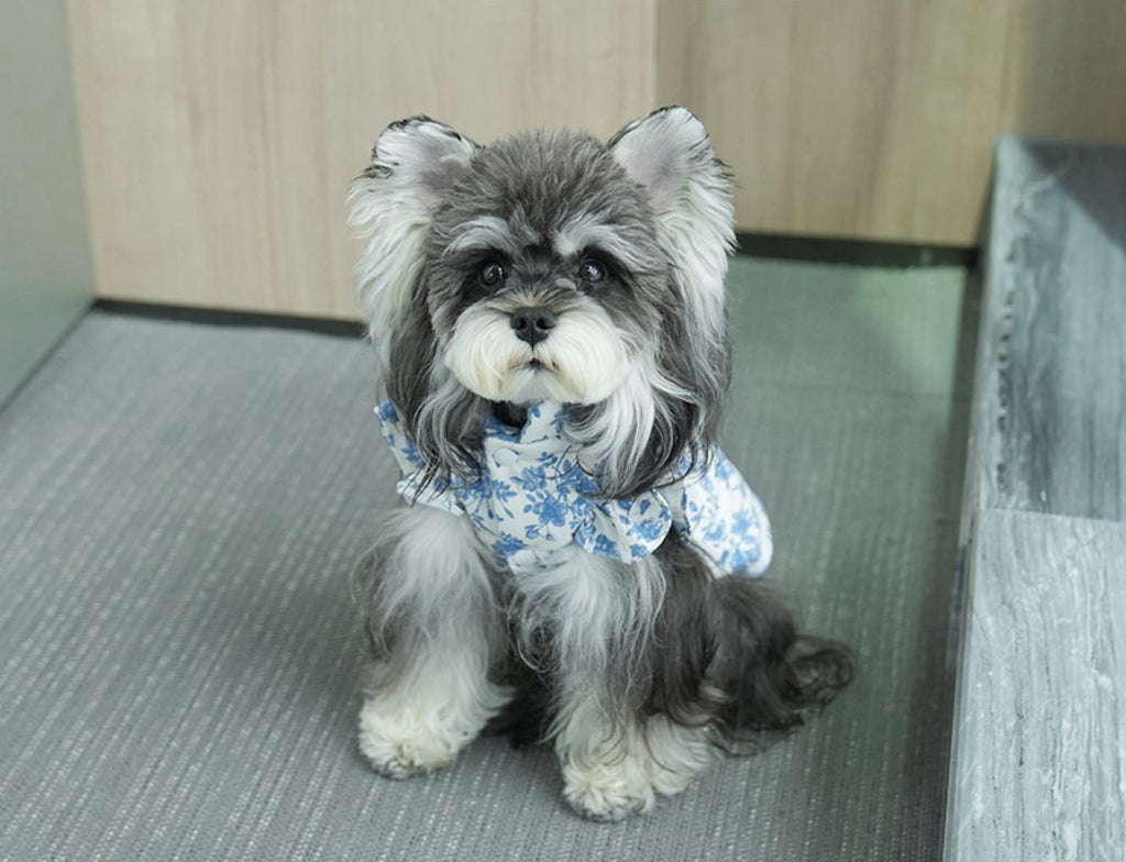 Blue Floral Dog Harness